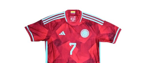 SELECCION COLOMBIA JERSEY MATCH WORN ALTERNATIVO - Imagen 2