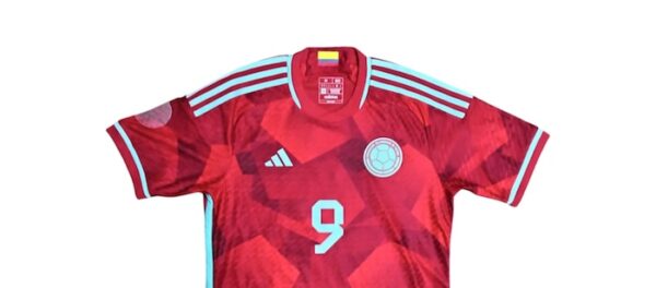 SELECCION COLOMBIA JERSEY MATCH WORN ALTERNATIVO - Imagen 2