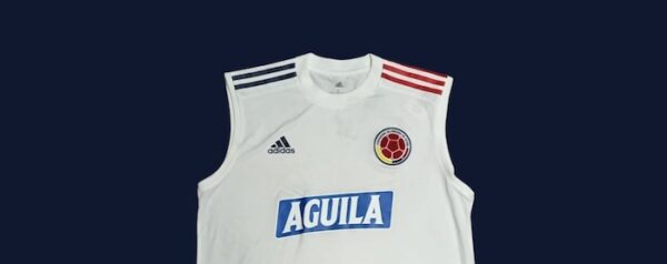SELECCION COLOMBIA MUSCULOSA DE PRACTICA USADA POR JUGADOR - Imagen 2