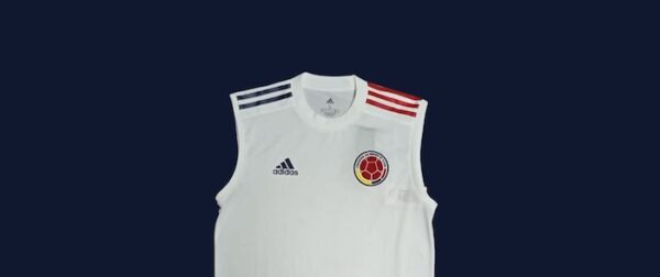 SELECCION COLOMBIA MUSCULOSA DE PRACTICA USADA POR JUGADOR - Imagen 2