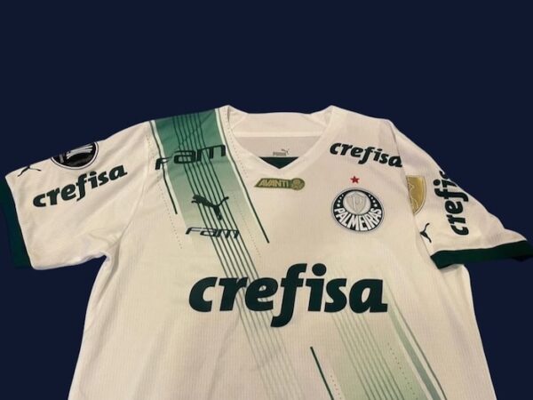CLUB PALMEIRAS JERSEY MATCH WORN COPA LIBERTADORES - Imagen 2