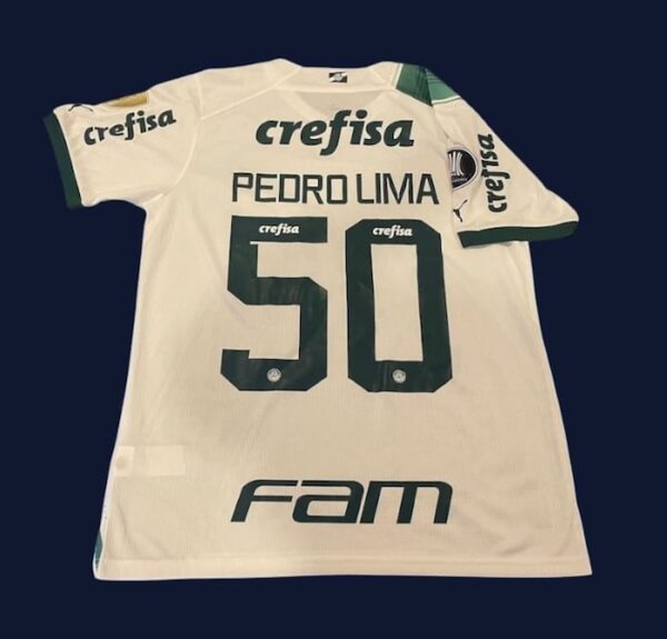 CLUB PALMEIRAS JERSEY MATCH WORN COPA LIBERTADORES - Imagen 3