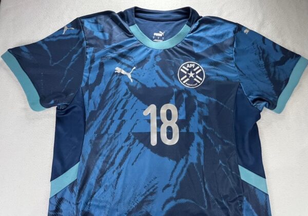 SELECCION PARAGUAY JERSEY MATCH WORN ALTERNATIVO - Imagen 2