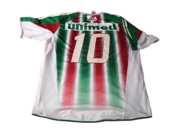 CLUB FLUMINENSE JERSEY MATCH WORN FIRMADO POR EQUIPO - Imagen 3