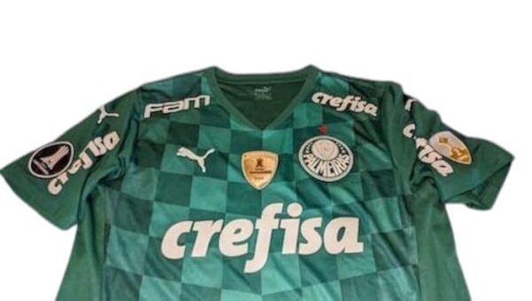 CLUB PALMEIRAS JERSEY MATCH WORN COPA LIBERTADORES 2024 - Imagen 2